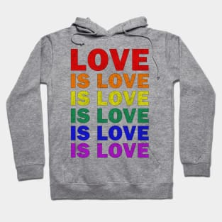 LGBT - Love is Love Hoodie